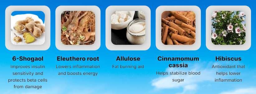 Glucovy